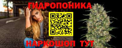 амф Бийск