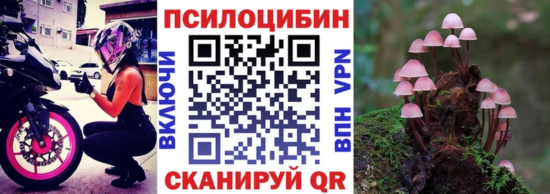 цены наркотик  Еманжелинск  Галлюциногенные грибы Psilocybine cubensis 